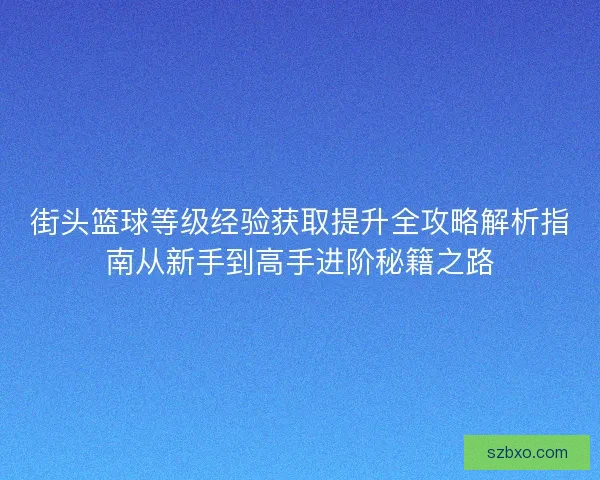街头篮球等级经验获取提升全攻略解析指南从新手到高手进阶秘籍之路