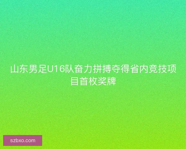 山东男足U16队奋力拼搏夺得省内竞技项目首枚奖牌